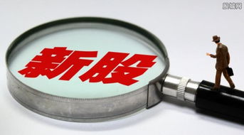7只新股今日聯袂上市，盛天網絡領銜互聯網游戲服務板塊大漲44%遭臨停